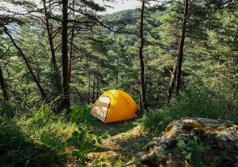 Gult tält i skog