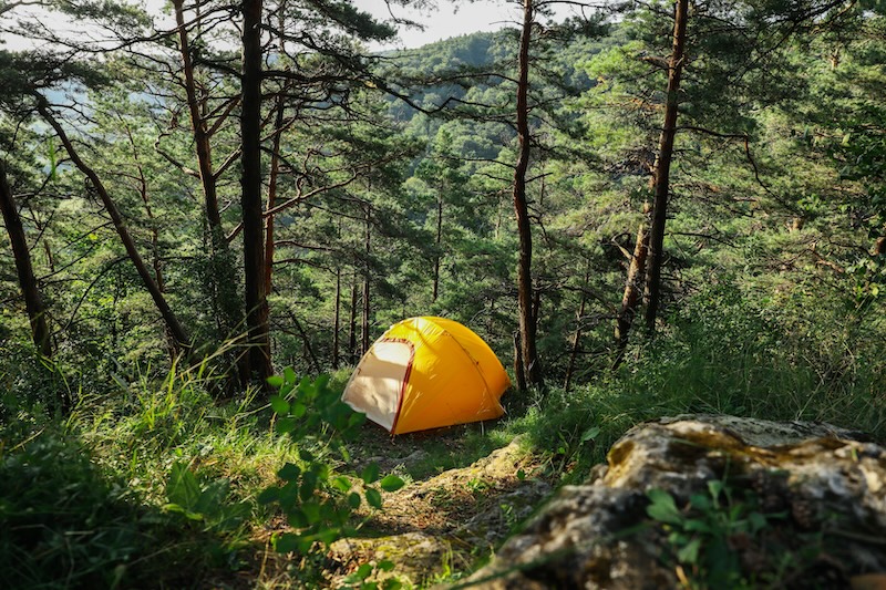 Gult tält i skog